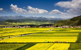青海门源风景桌面壁纸