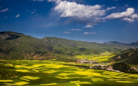 青海门源风景桌面壁纸