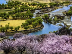 西藏林芝桃花沟风景桌面壁纸