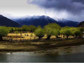 西藏林芝桃花沟风景桌面壁纸
