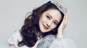 美女明星樊蕊桌面壁纸