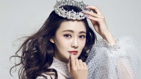 美女明星樊蕊桌面壁纸
