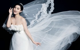 美女明星范冰冰桌面壁纸