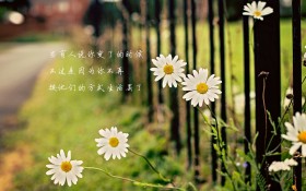 简单心灵语录文字桌面壁纸
