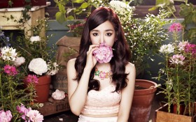 韩国美女明星黄美英桌面壁纸