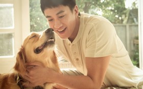 电影《我的男友和狗》桌面壁纸