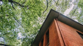 浙江大学森林公园桌面壁纸