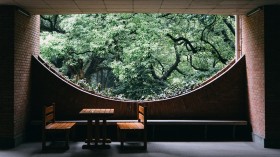 浙江大学森林公园桌面壁纸