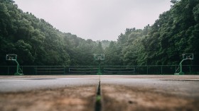浙江大学森林公园桌面壁纸