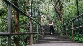 浙江大学森林公园桌面壁纸