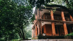 浙江大学森林公园桌面壁纸