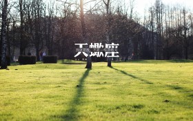天蝎座物语桌面壁纸
