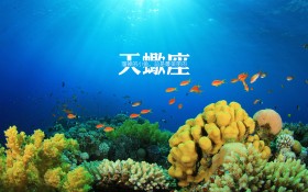 天蝎座物语桌面壁纸