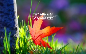 天蝎座物语桌面壁纸
