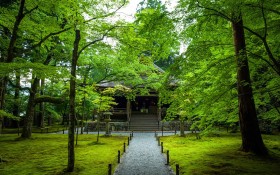 日本Kouzan寺绿色风景桌面壁纸