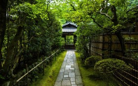 日本Kouzan寺绿色风景桌面壁纸