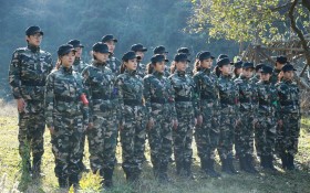 《加油吧实习生》电视剧赵丽颖桌面壁纸