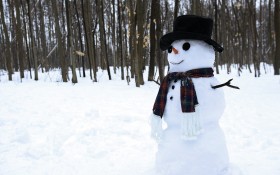 唯美雪人桌面壁纸