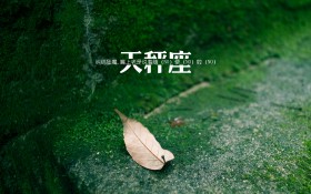 天秤座艺术设计桌面壁纸