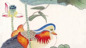 国画鸟类桌面壁纸