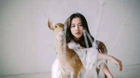 美女演员吴倩桌面壁纸