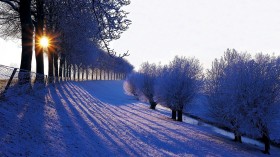 唯美冬季雪景桌面壁纸