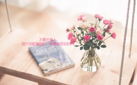 经典心灵鸡汤生活简约语录文字桌面壁纸