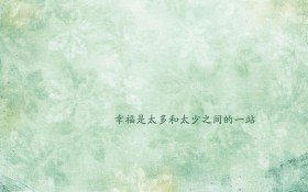 勇敢追求幸福精简语录文字桌面壁纸