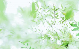 唯美小清新意境美风景桌面壁纸