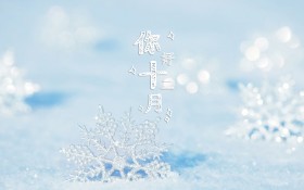 唯美十二月你好文字桌面壁纸