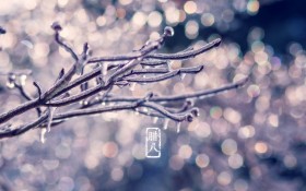 中国传统节日腊八节桌面壁纸