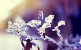 中国传统节日腊八节桌面壁纸