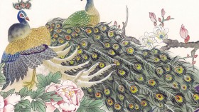 手绘国画鸟类桌面壁纸