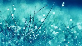 二十四节气之寒露桌面壁纸