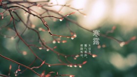 二十四节气之寒露桌面壁纸
