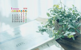 2016年1月日历清新桌面壁纸