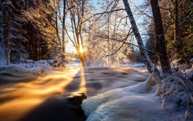 冬日绝美雪景摄影桌面壁纸