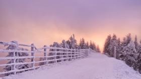 冬日唯美雪景桌面壁纸
