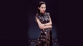 美女明星白百合桌面壁纸