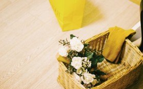 小清新静物桌面壁纸