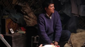 《狼图腾》电影桌面壁纸