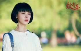 《致青春》电视剧海报剧照桌面壁纸