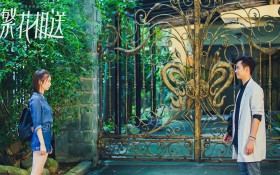 《一路繁花相送》电视剧桌面壁纸
