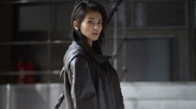 美女明星刘涛桌面壁纸  