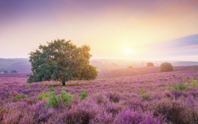 Retina风光风景艺术设计桌面壁纸
