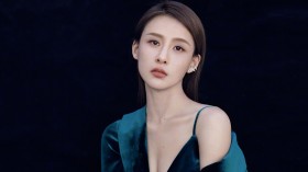 美女明星贾青桌面壁纸