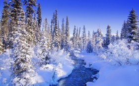 冬天唯美雪景自然风光桌面壁纸