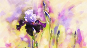 手绘花卉水彩画桌面壁纸