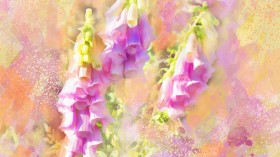 手绘花卉水彩画桌面壁纸