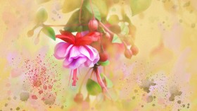手绘花卉水彩画桌面壁纸